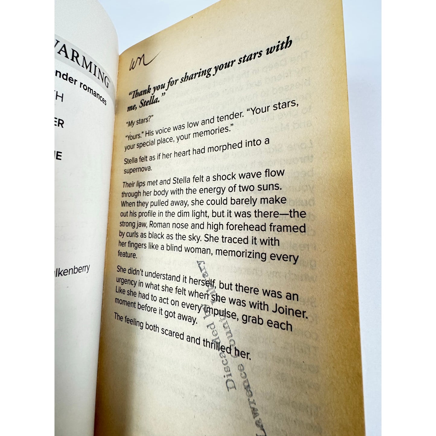 Lone Star Refuge by Mae Nunn (Paperback) (Large Print)