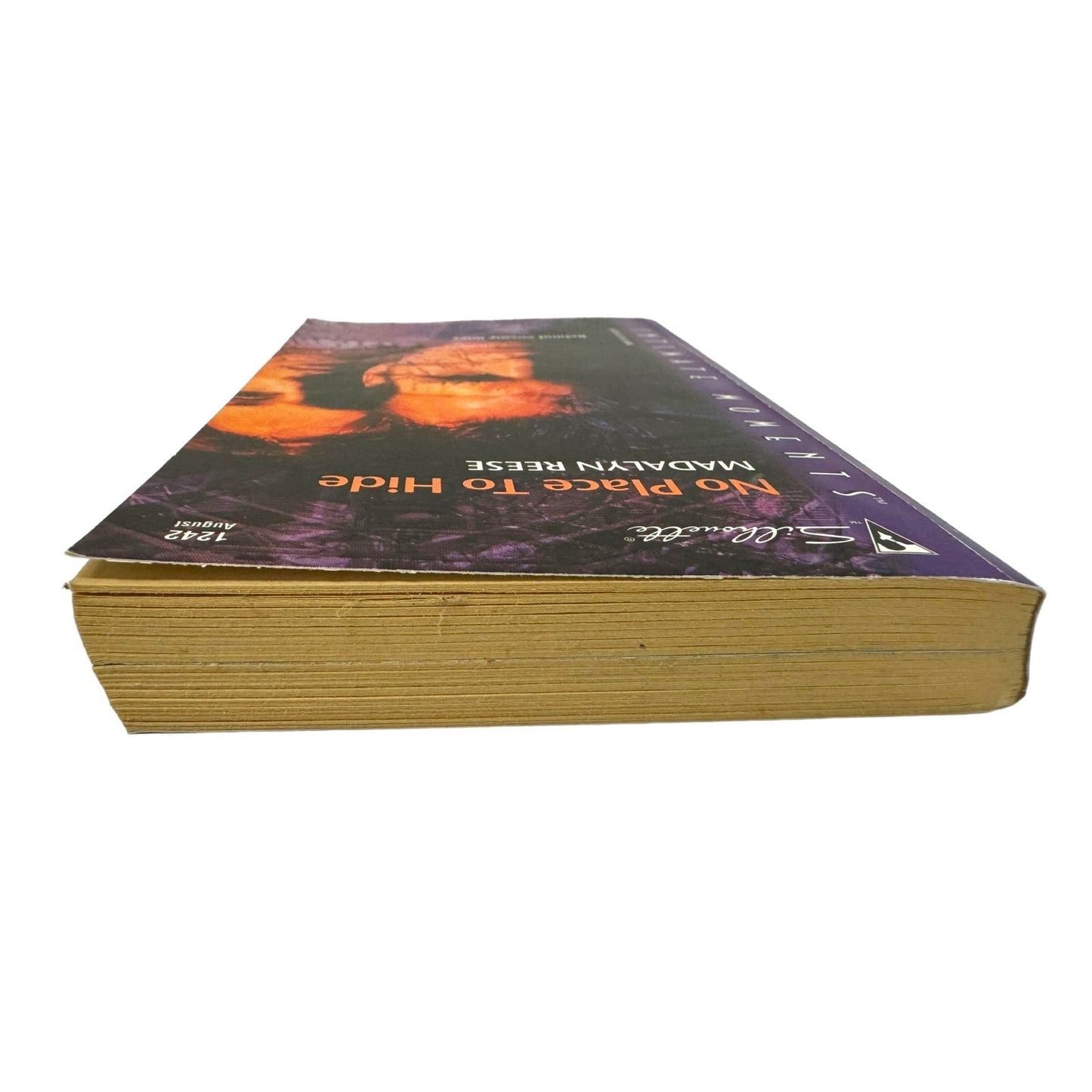 No Place to Hide by Madalyn Reese (Paperback)