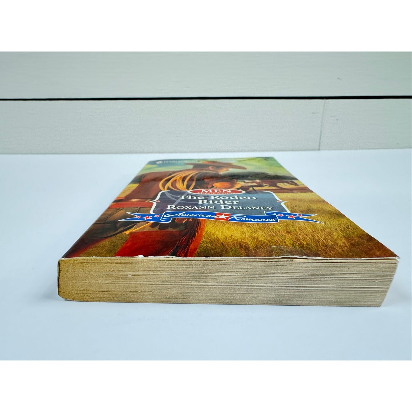 The Rodeo Rider by Roxann Delaney (Paperback)