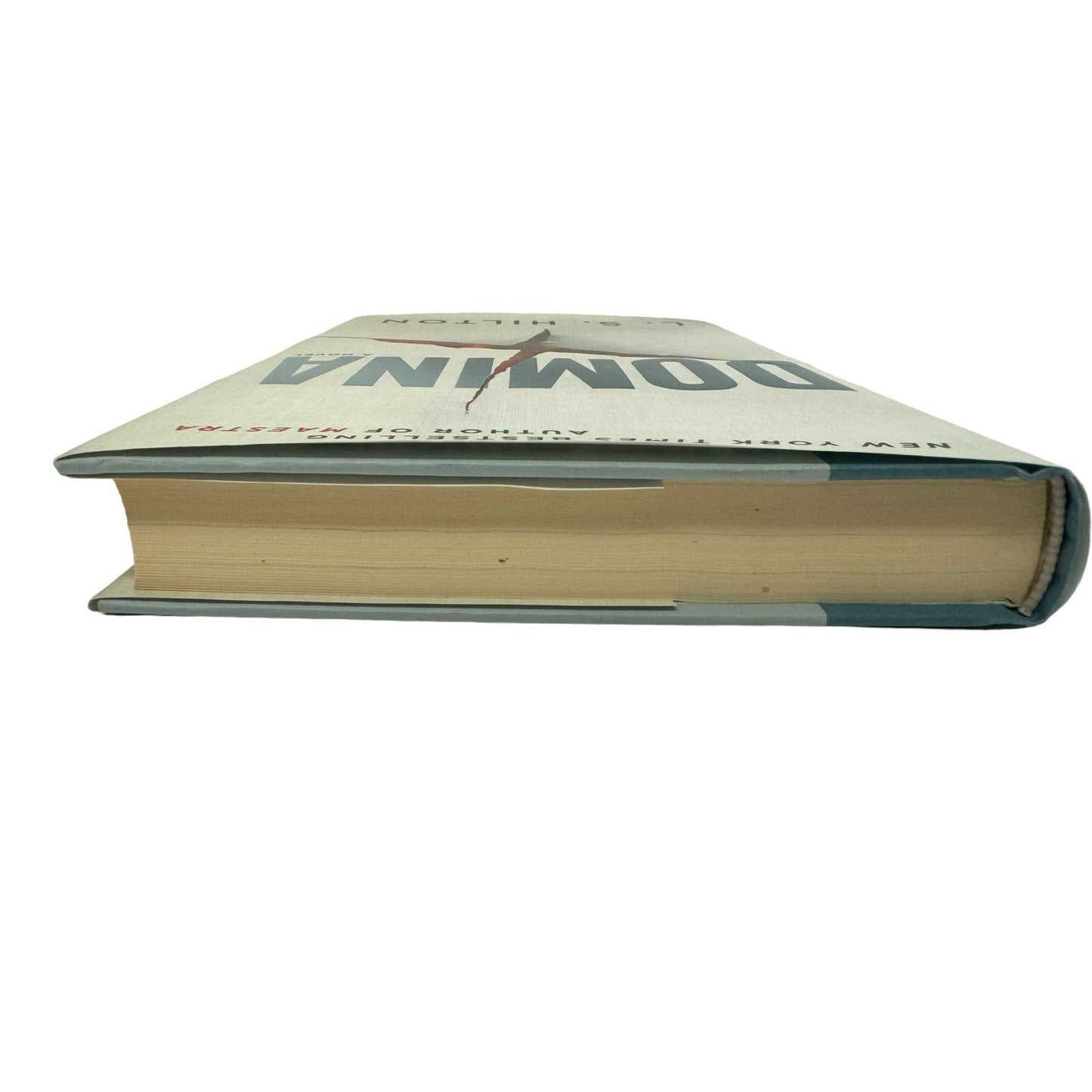 Domina by L. S. Hilton (Hardcover)