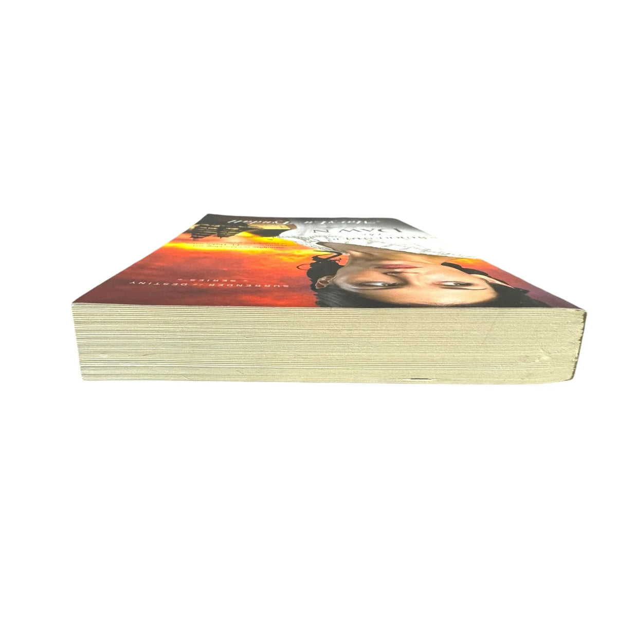 Surrender the Dawn by MaryLu Tyndall (Paperback) - Image 6