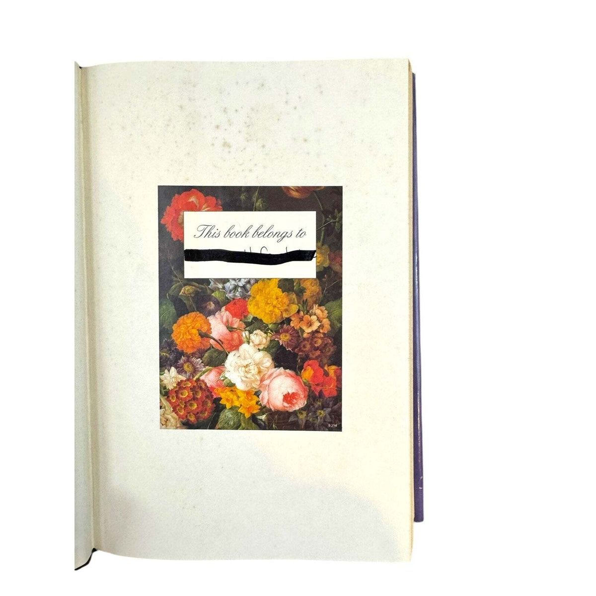 Dakota Legacy by Lauraine Snelling (Hardcover) - Image 9