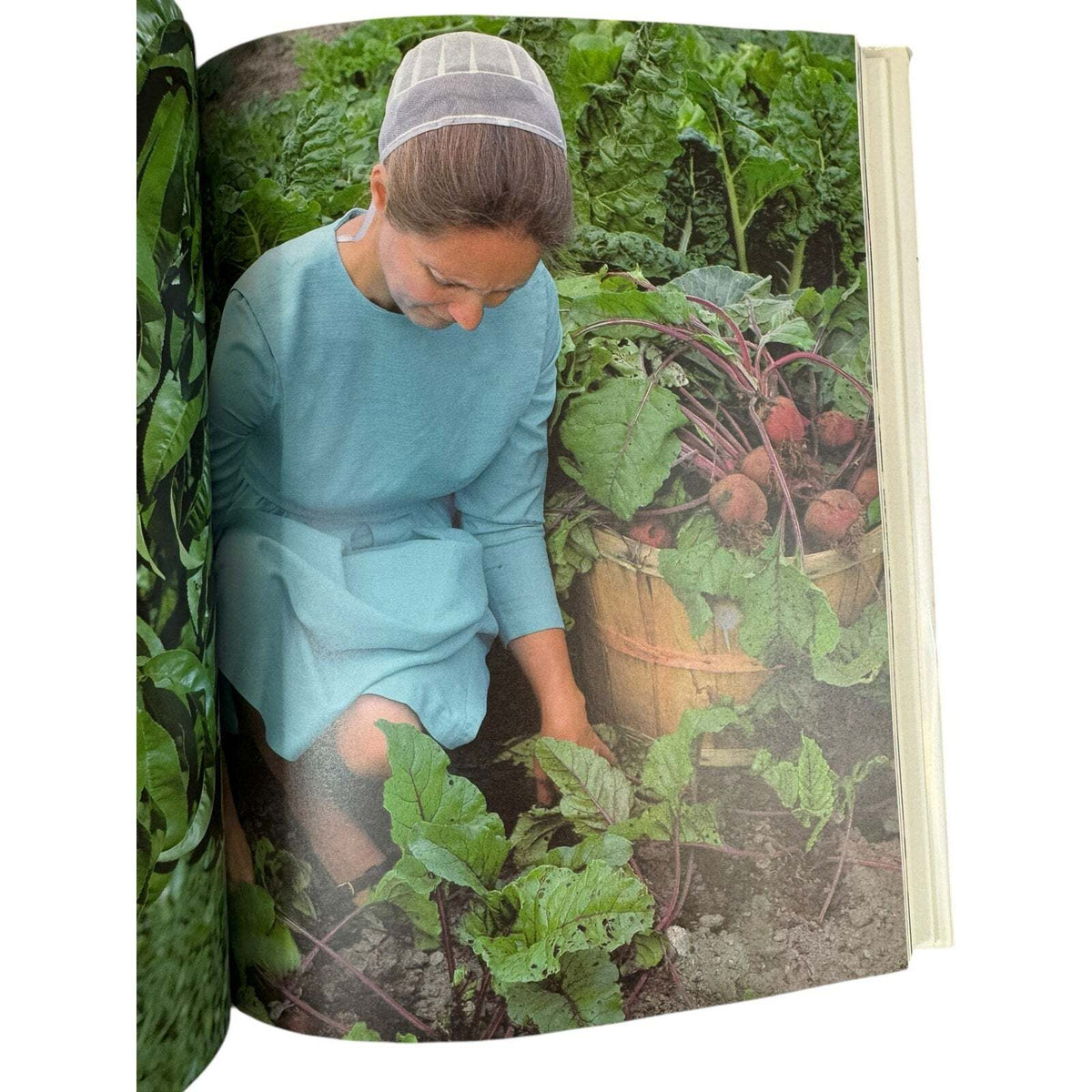 Cooking from Quilt Country by Marcia Adams (Hardcover) - Image 9