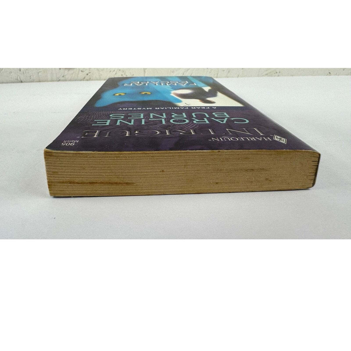 Familiar Escape by Caroline Burnes (Paperback) - Image 6