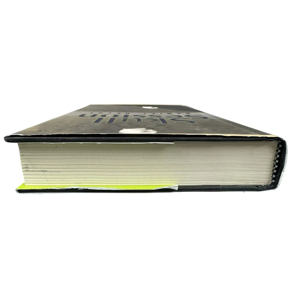 Skull Session by Daniel Hecht (Hardcover) - Image 6