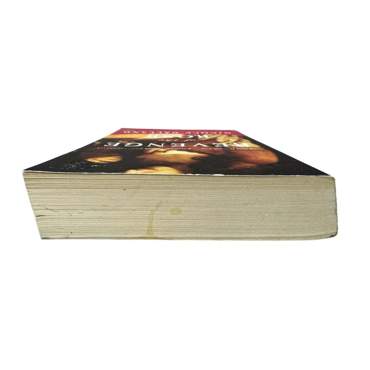 Revenge of the Rose by Nicole Galland (Paperback) - Image 6