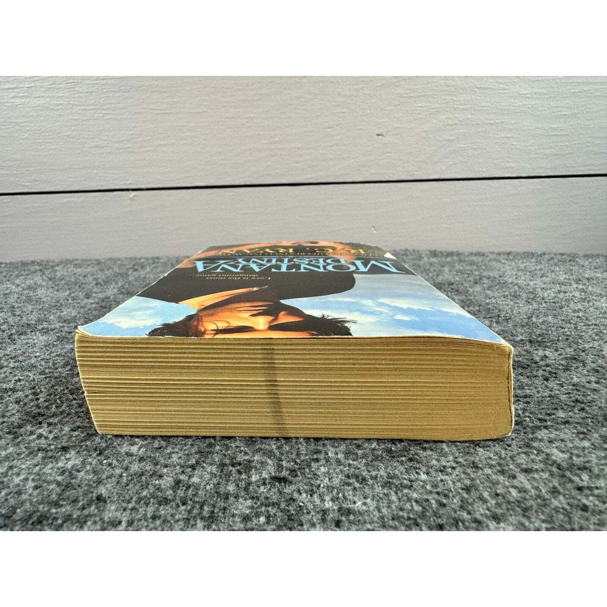 Montana Destiny by R.C. Ryan (Paperback) - Image 6