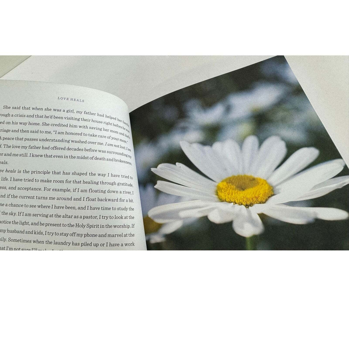 Love Heals by Becca Stevens (Hardcover) - Image 8