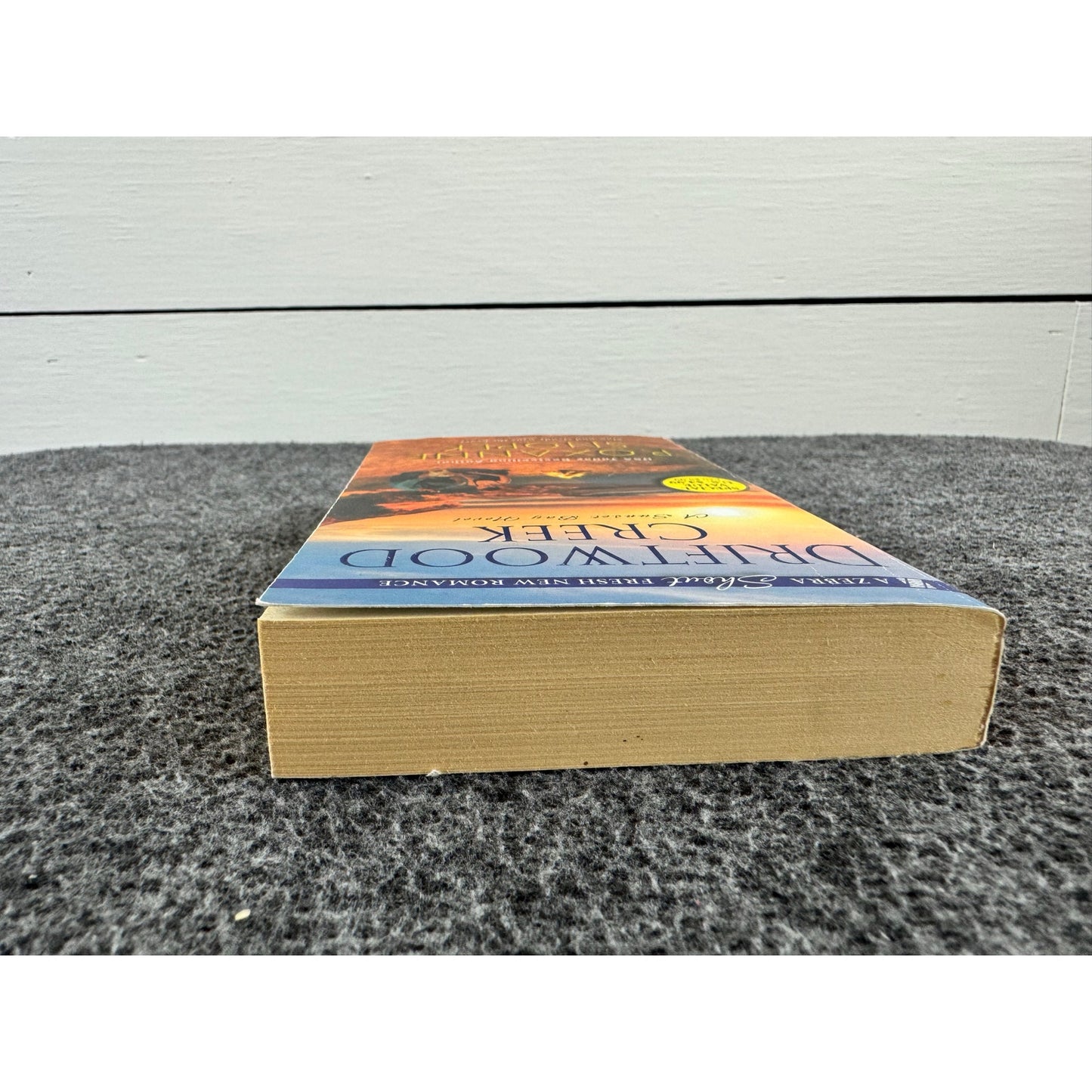 Driftwood Creek by Roxanne Snopek (Paperback)