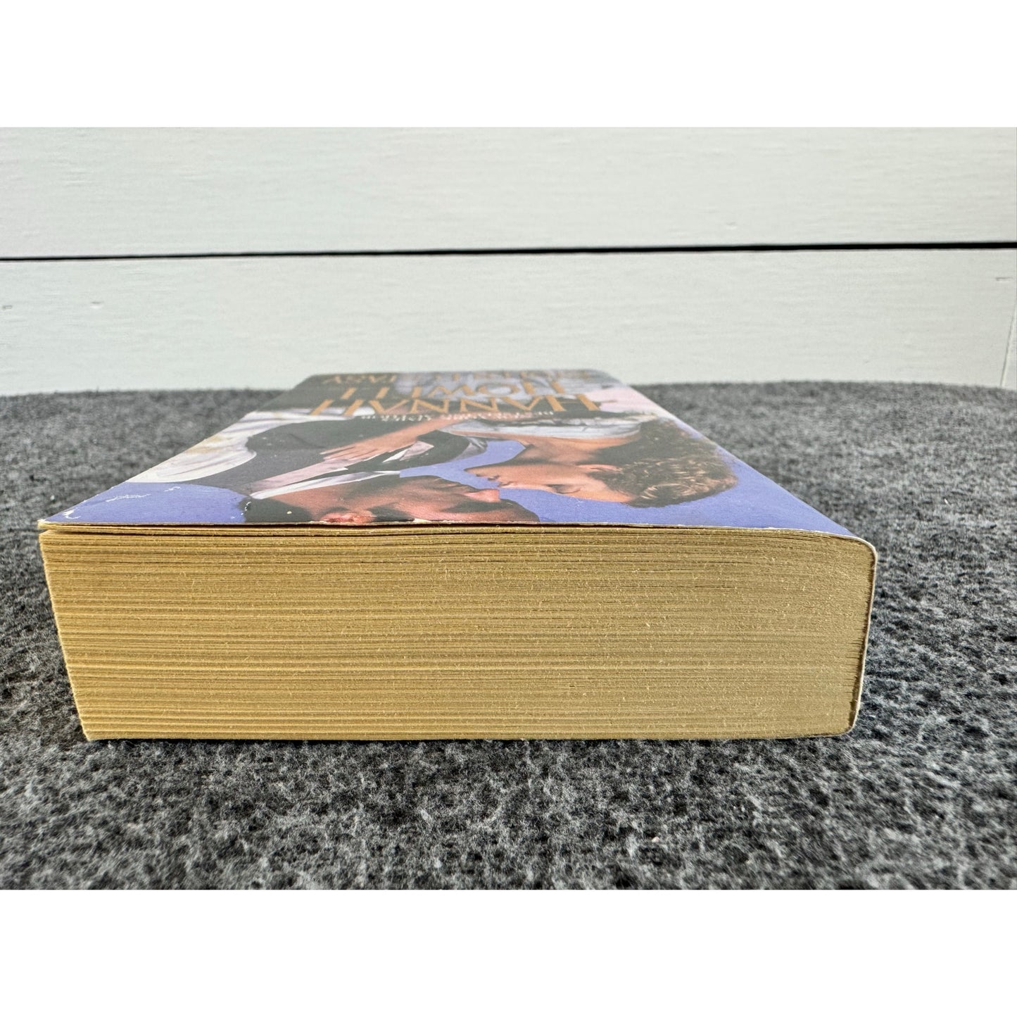 Stolen Ecstasy by Hannah Howell (Paperback)