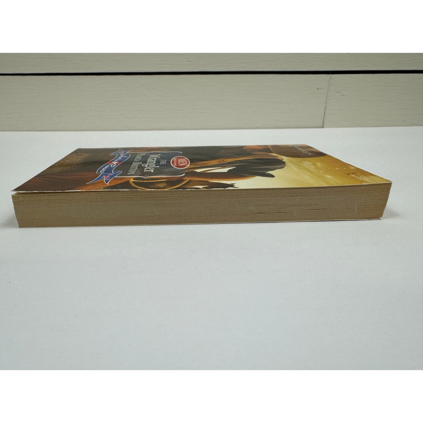 The Wrangler by Pamela Britton (Paperback)