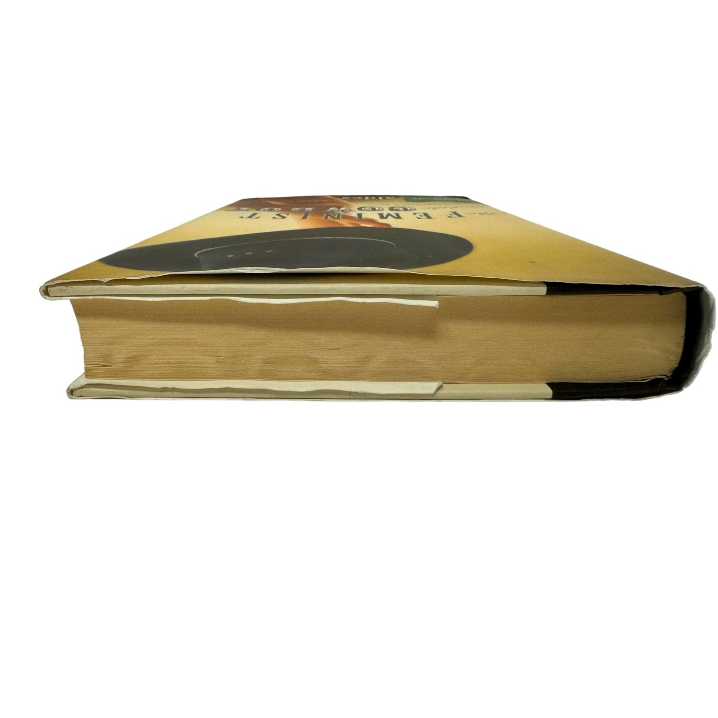 The Feminist and the Cowboy by Alisa Valdes (Hardcover)