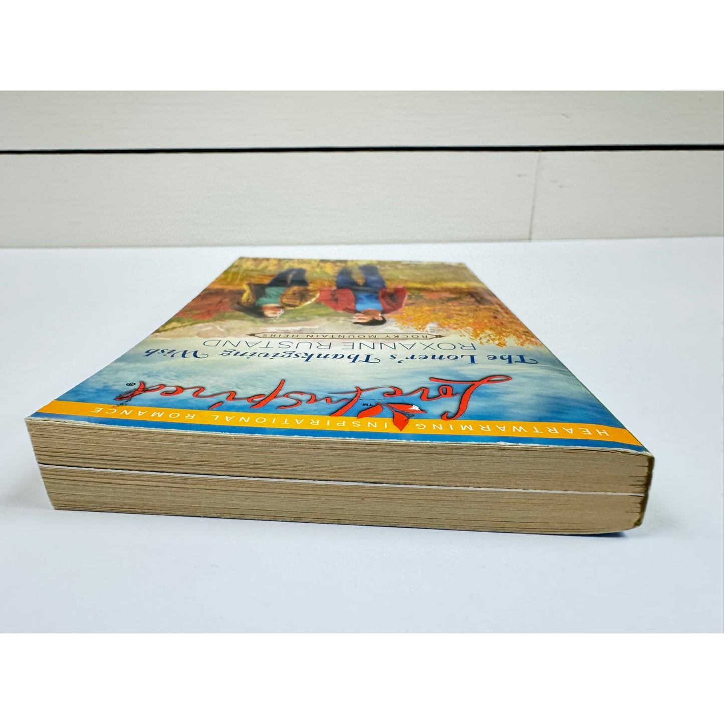 The Loner's Thanksgiving Wish by Roxanne Rustand