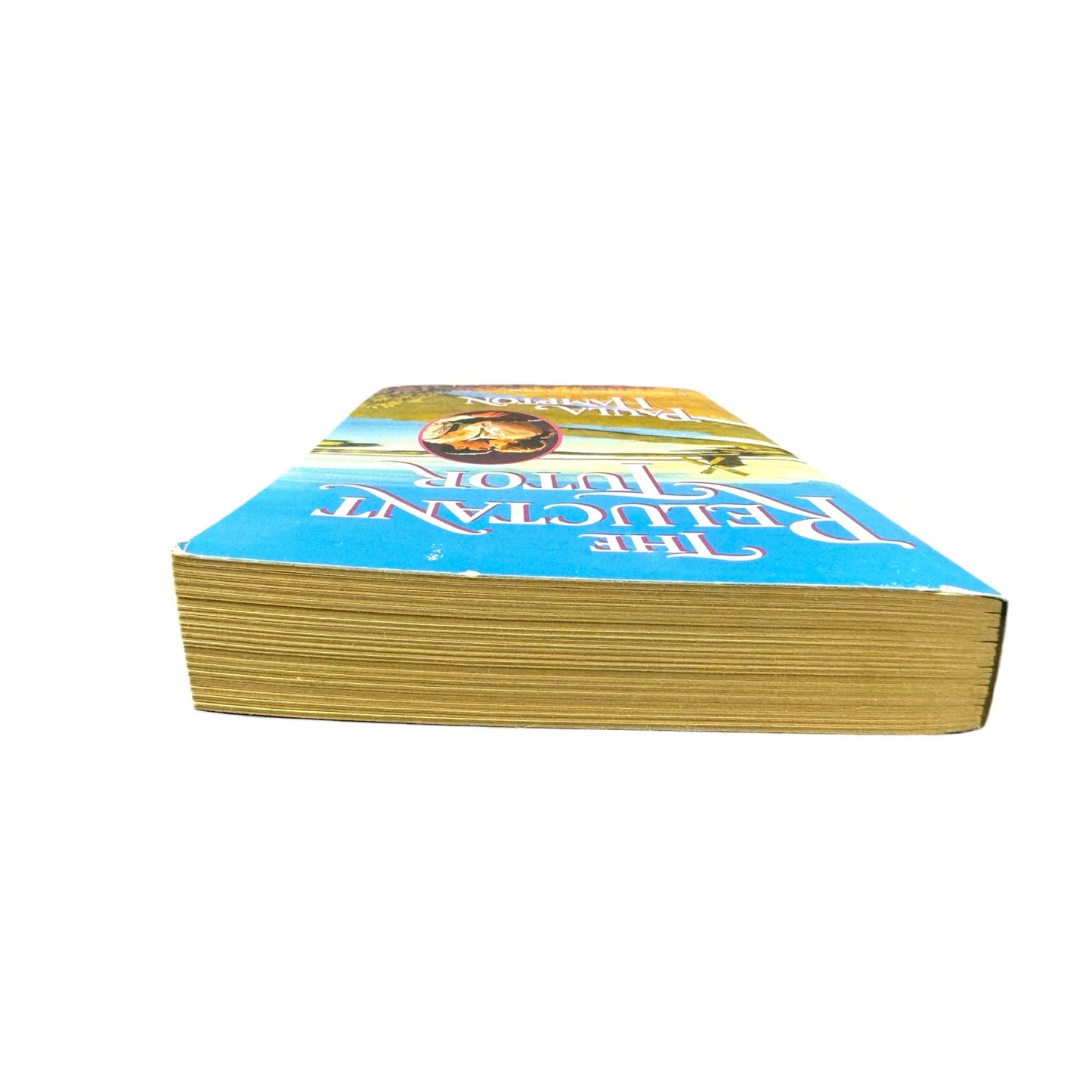 The Reluctant Tutor by Paula Hampton (Paperback)