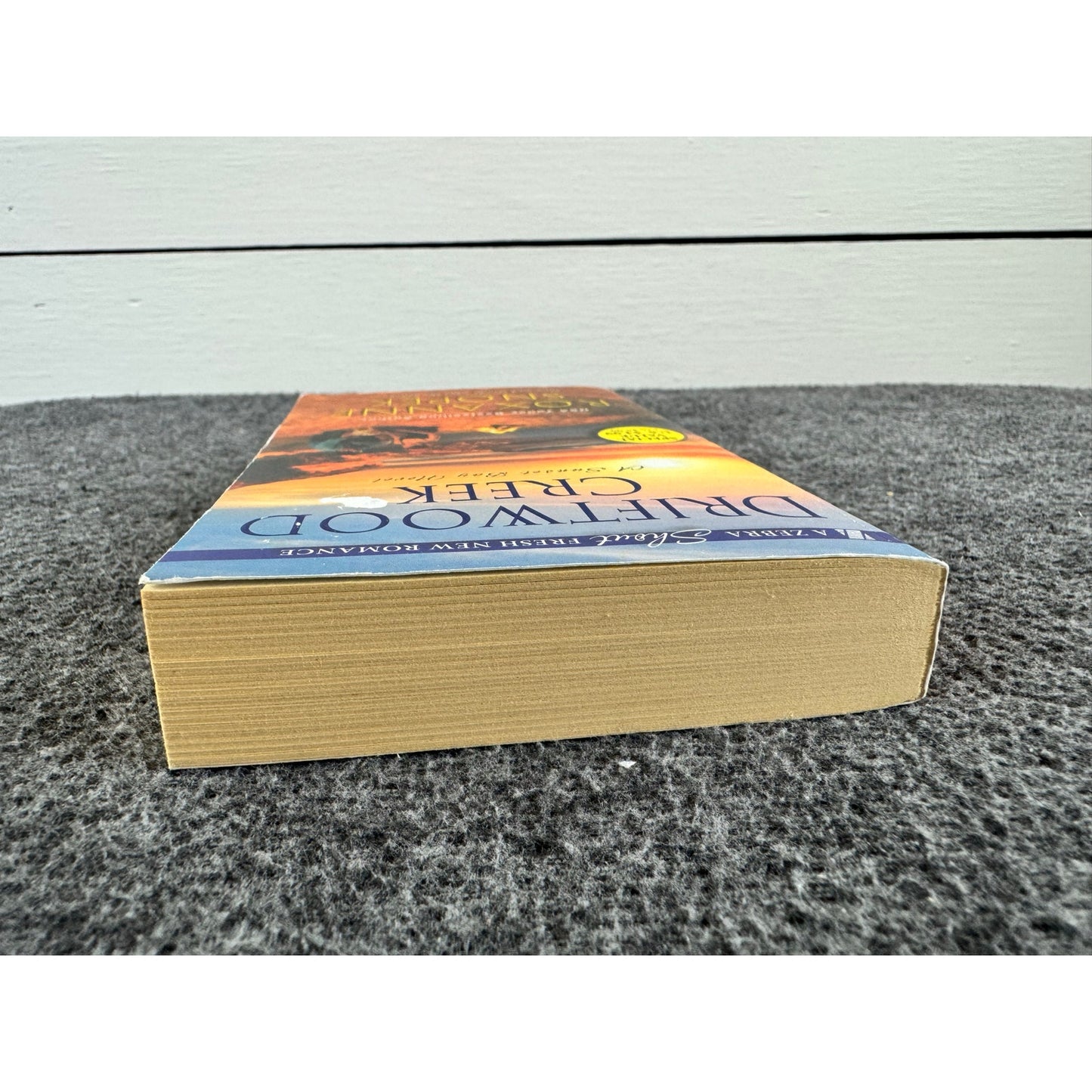 Driftwood Creek by Roxanne Snopek (Paperback)