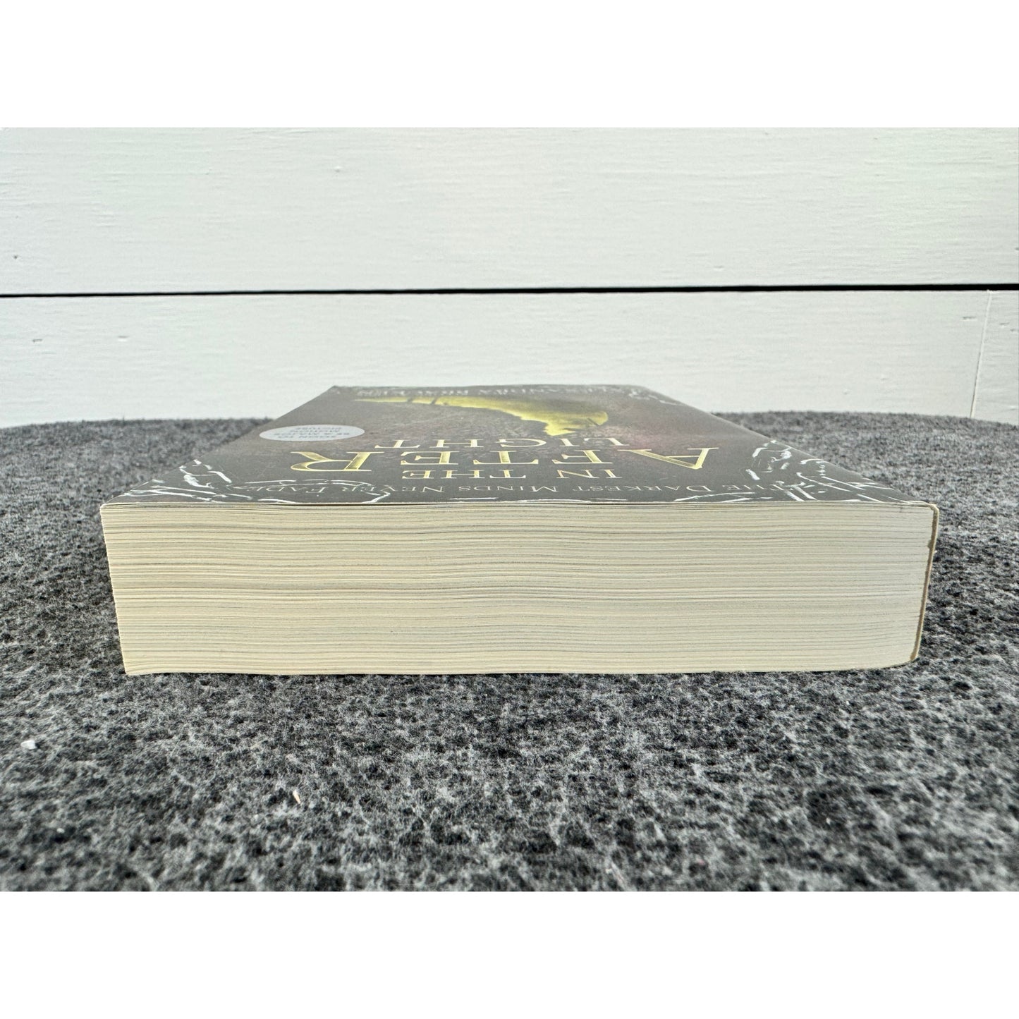 In The Afterlight by Alexandra Bracken (Paperback)
