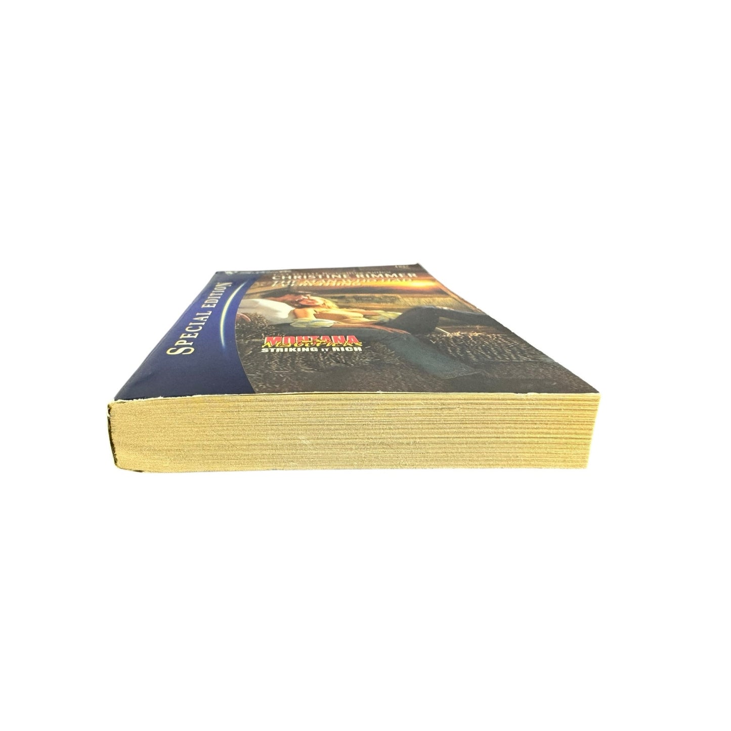 The Man Who Had Everything by Christine Rimmer (Paperback)