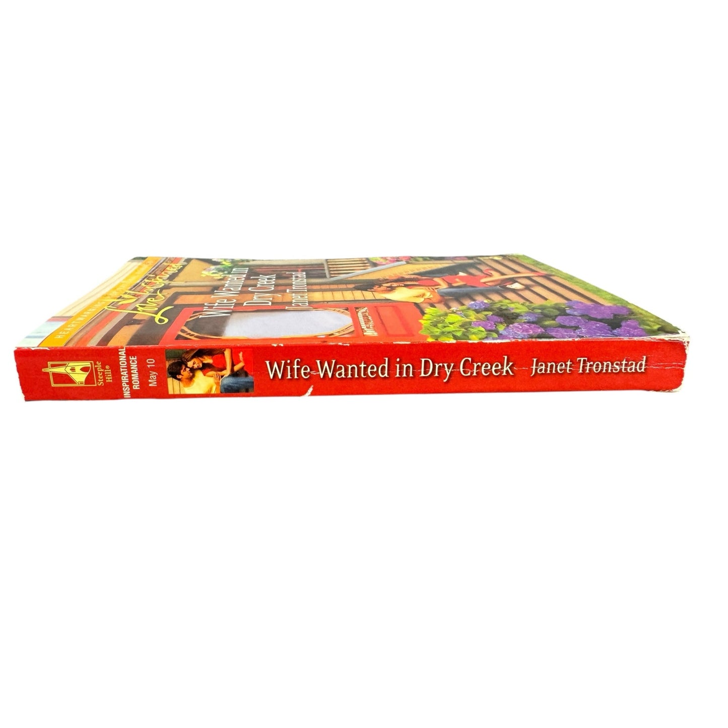 Wife Wanted in Dry Creek by Janet Tronstad (Paperback)