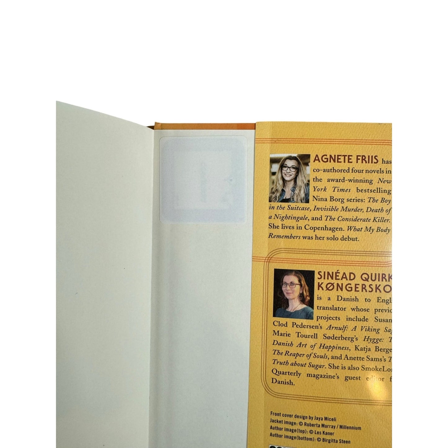 The Summer of Ellen by Agnete Friis (Hardcover)