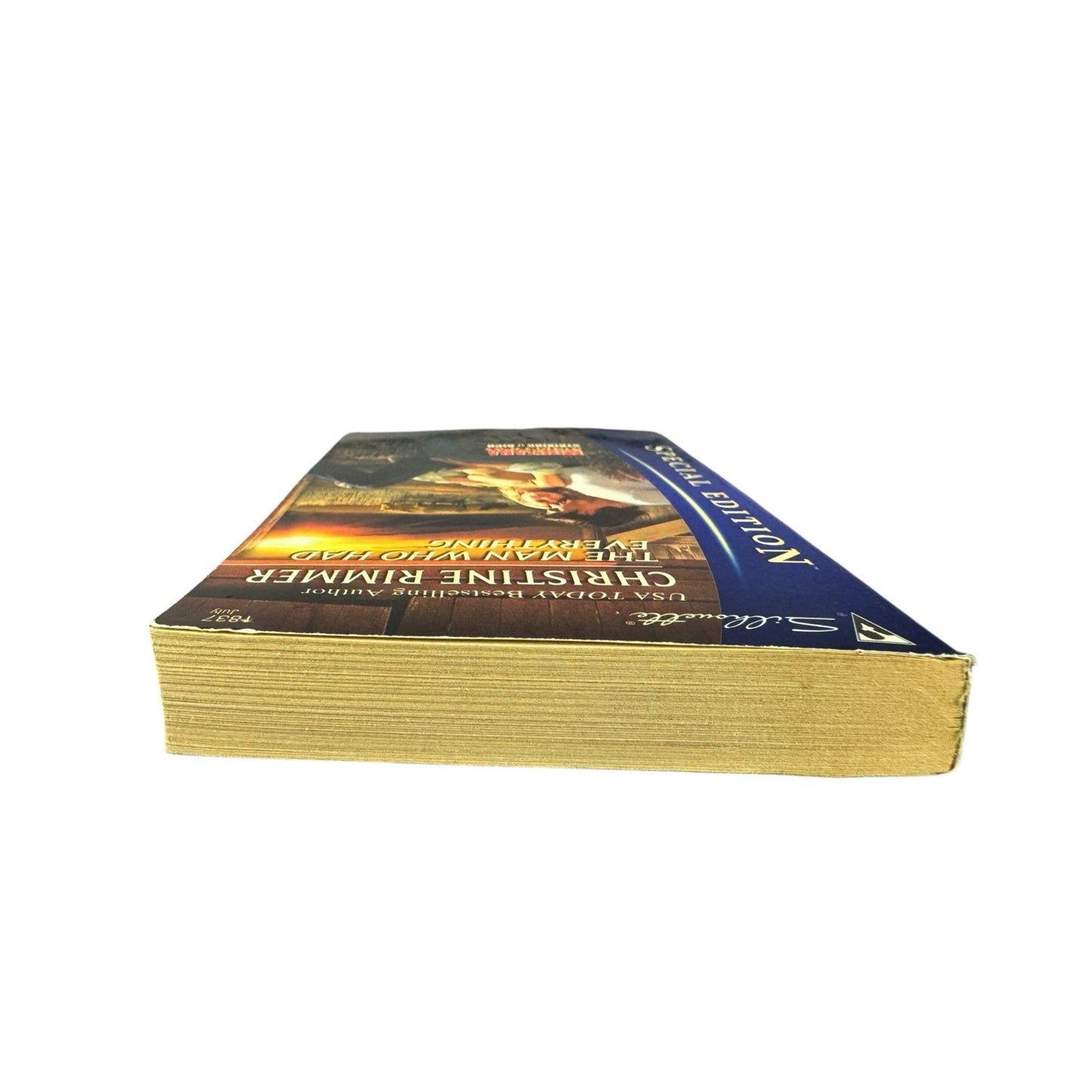 The Man Who Had Everything by Christine Rimmer (Paperback)