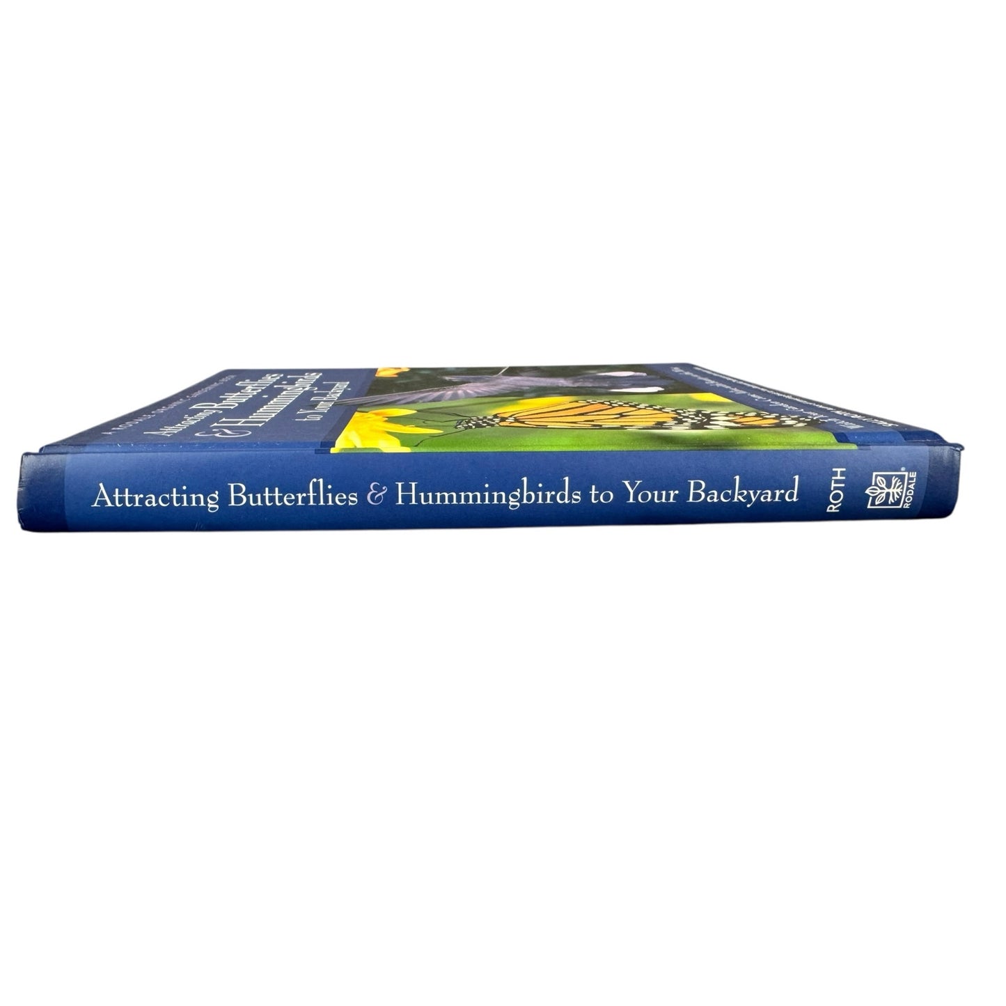 Attracting Hummingbirds and Butterflies to Your Backyard (Hardcover)
