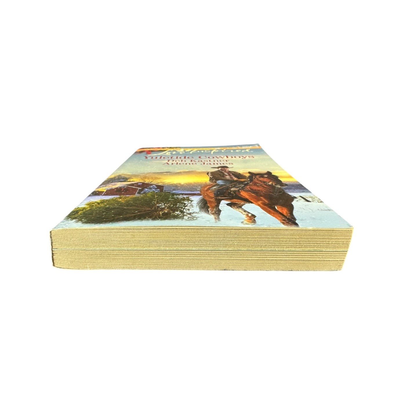 Yuletide Cowboys by Deb Kastner & Arlene James (Paperback)