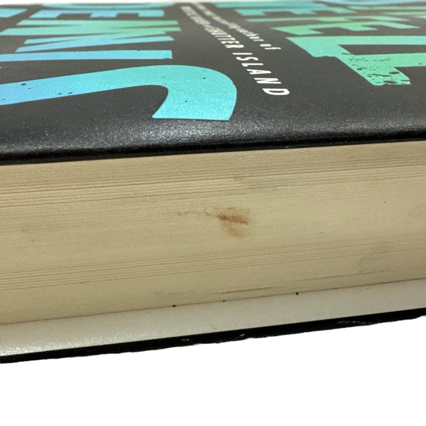 Since We Fell by Dennis Lehane (Hardcover)
