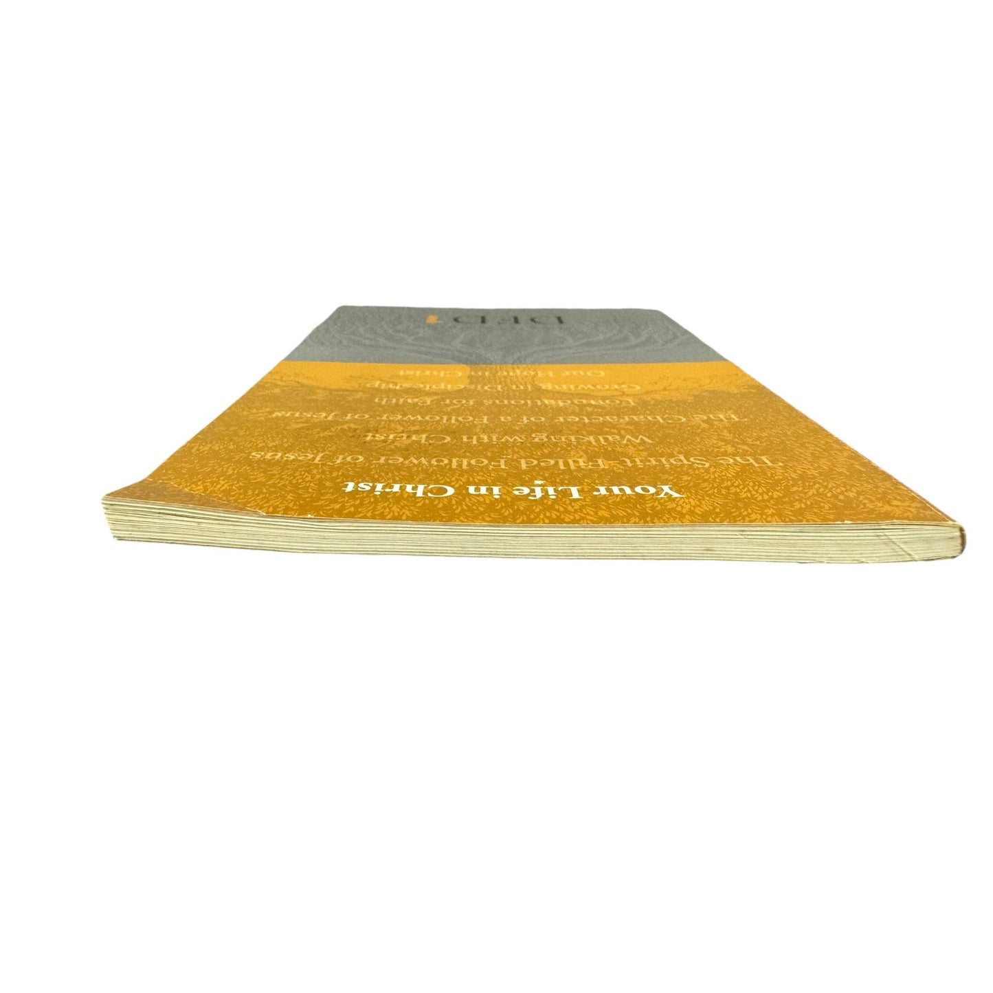 Your Life in Christ by Chuck Broughton (Paperback)