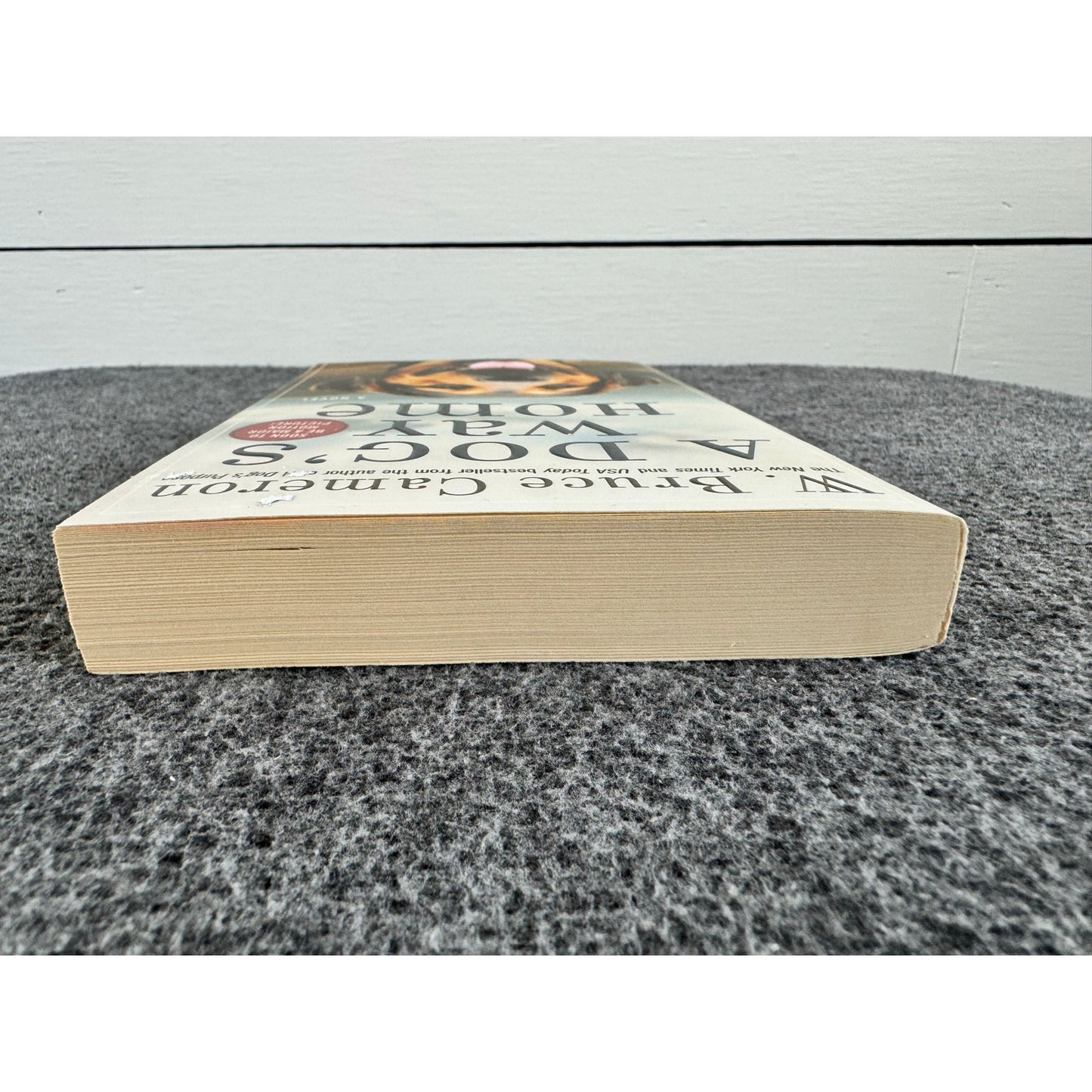 A Dog's Way Home by W. Bruce Cameron (Paperback)