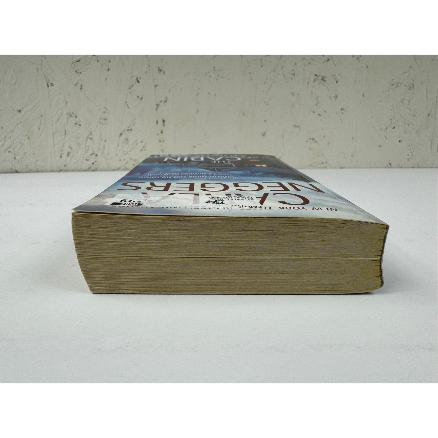 The Cabin by Carla Neggers (Paperback)