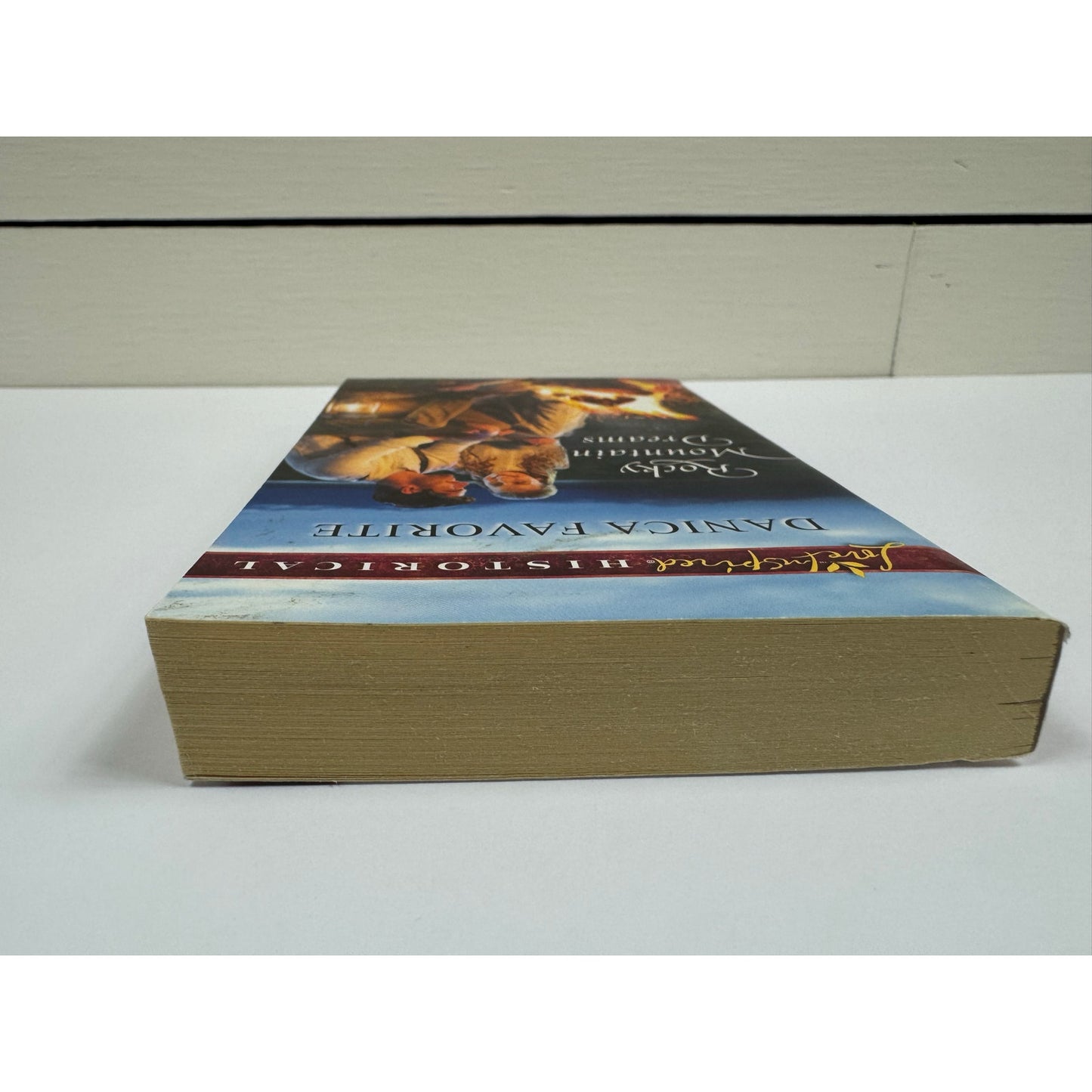 Rocky Mountain Dreams by Danica Favorite (Paperback)