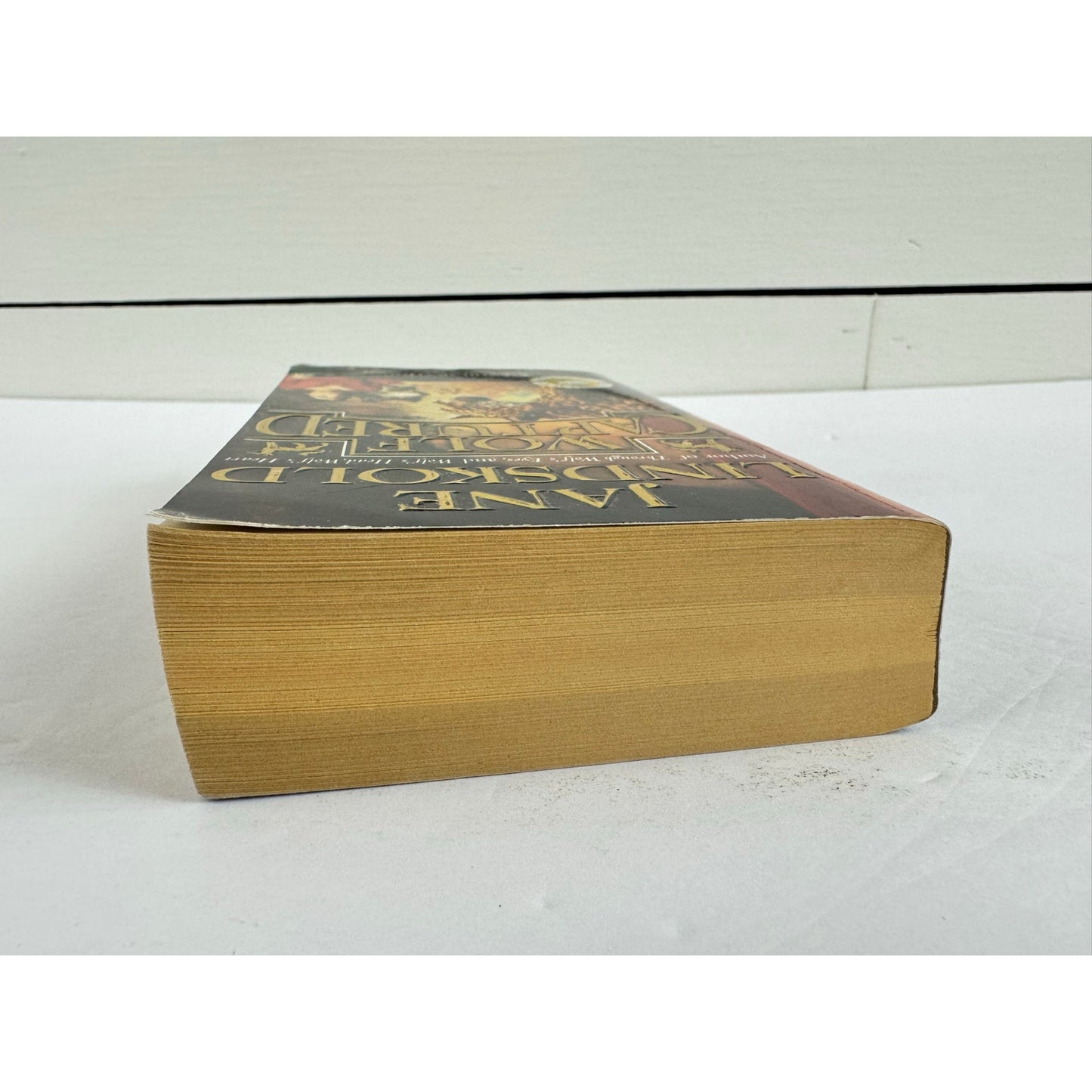 Wolf Captured by Jane Lindskold (Paperback)