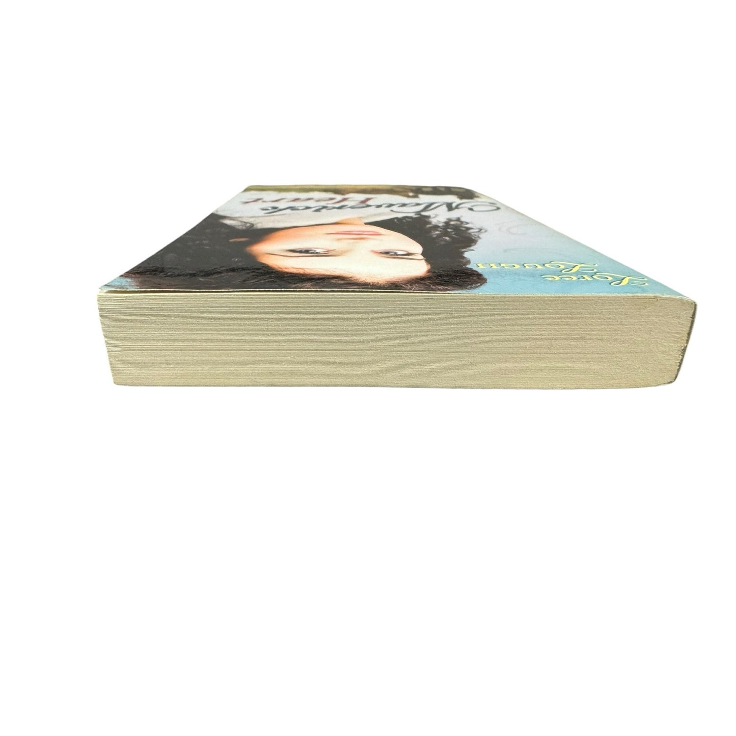 Maverick Heart by Loree Lough (Paperback)