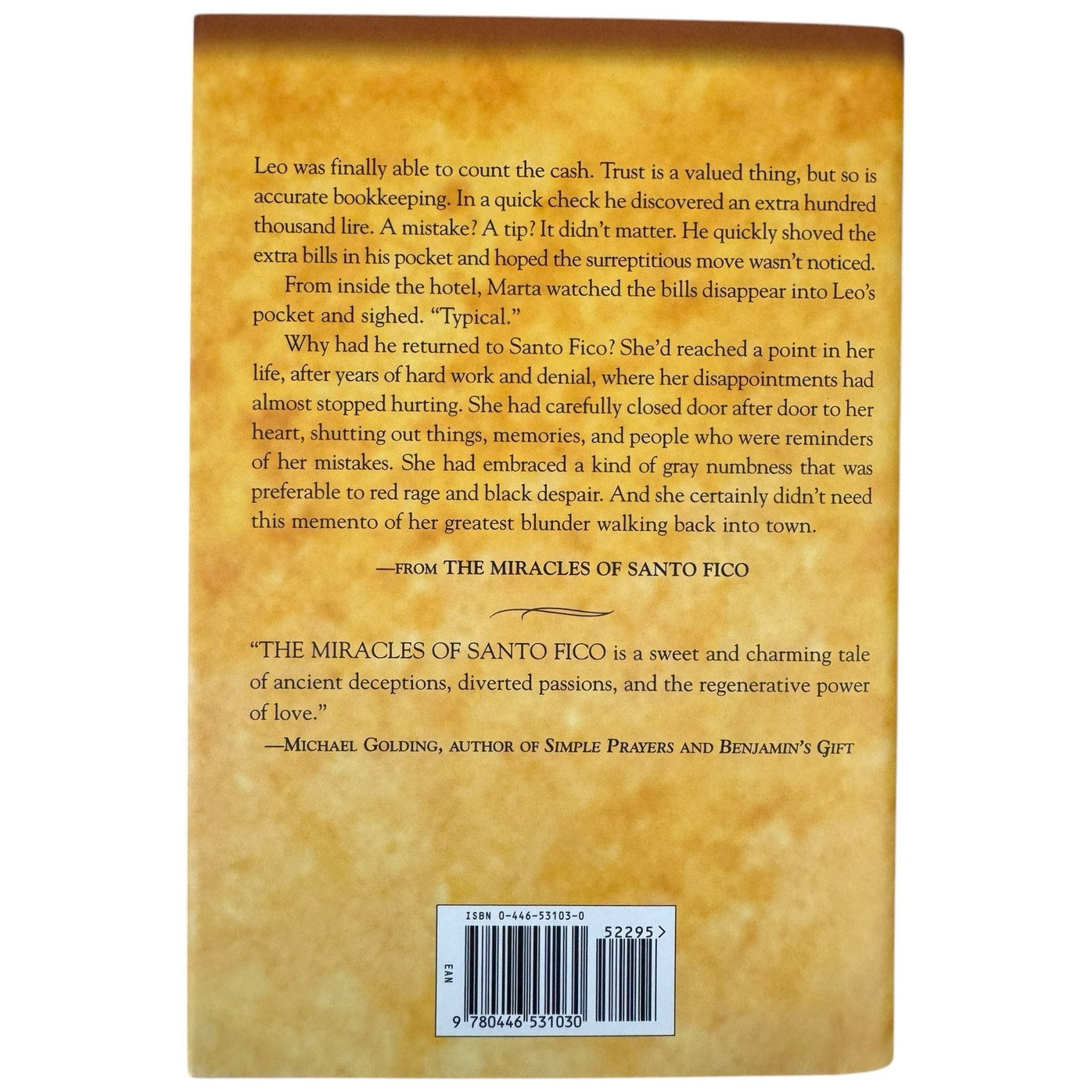 The Miracles of Santo Fico by D. L. Smith (Hardcover)