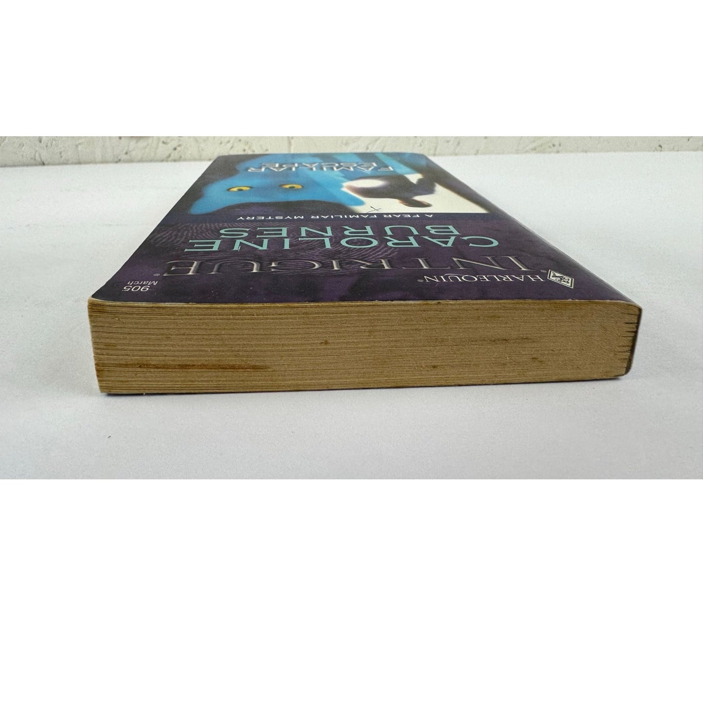 Familiar Escape by Caroline Burnes (Paperback)