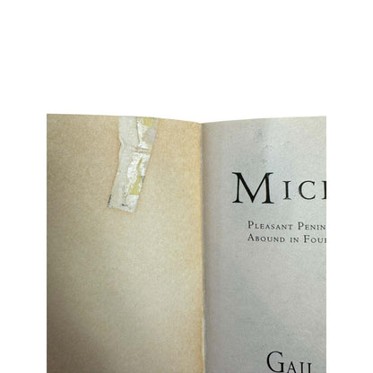 Michigan by Gail Gaymer Martin (Paperback)