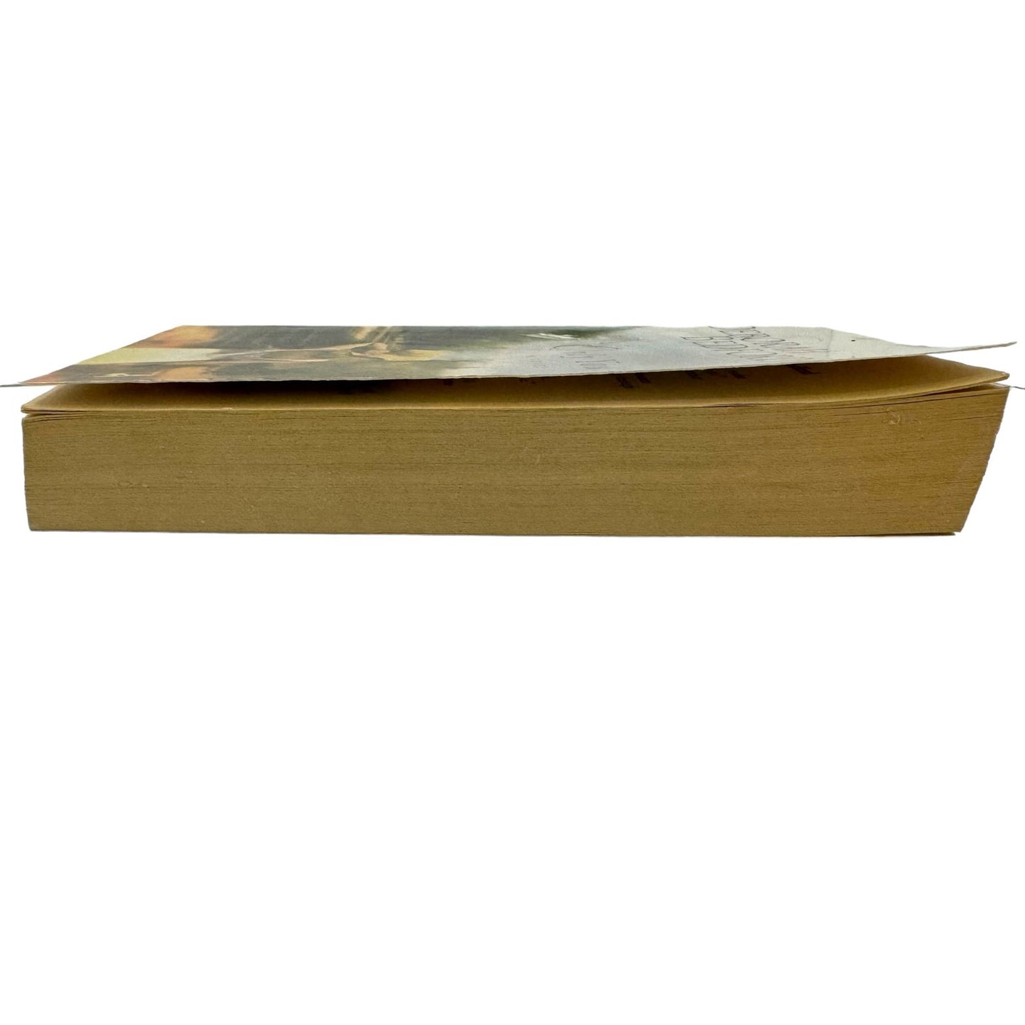 Only You by Deborah Bedford (Paperback)