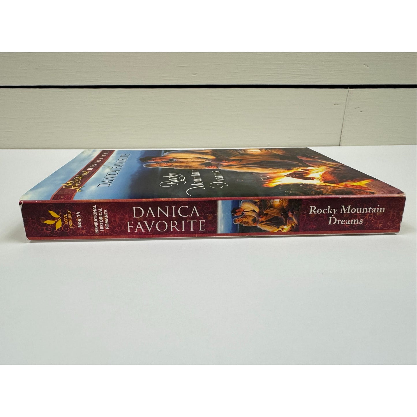 Rocky Mountain Dreams by Danica Favorite (Paperback)