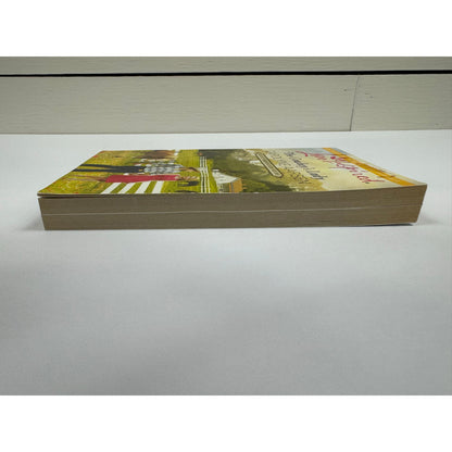 The Cowboy's Lady by Carolyne Aarsen (Paperback)