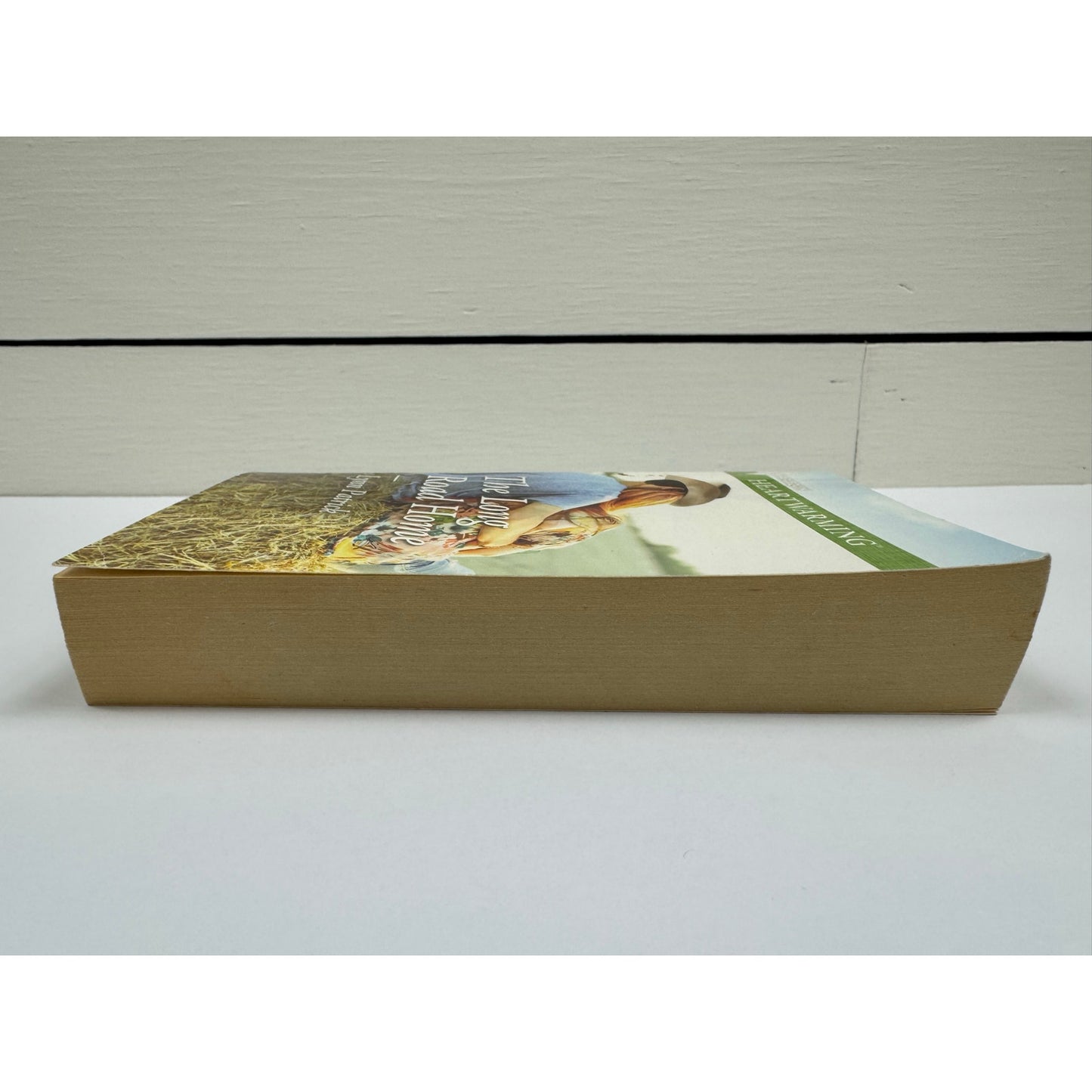 The Long Road Home by Lynn Patrick (Paperback) (Large Print)