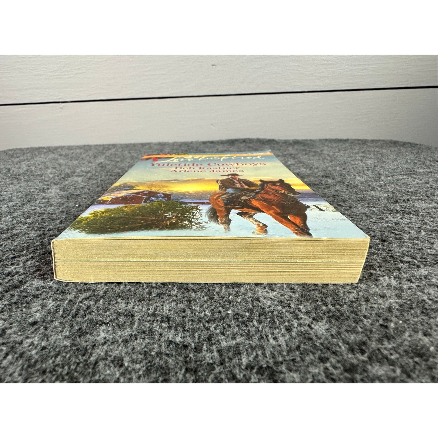 Yuletide Cowboys by Deb Kastner & Arlene James (Paperback)