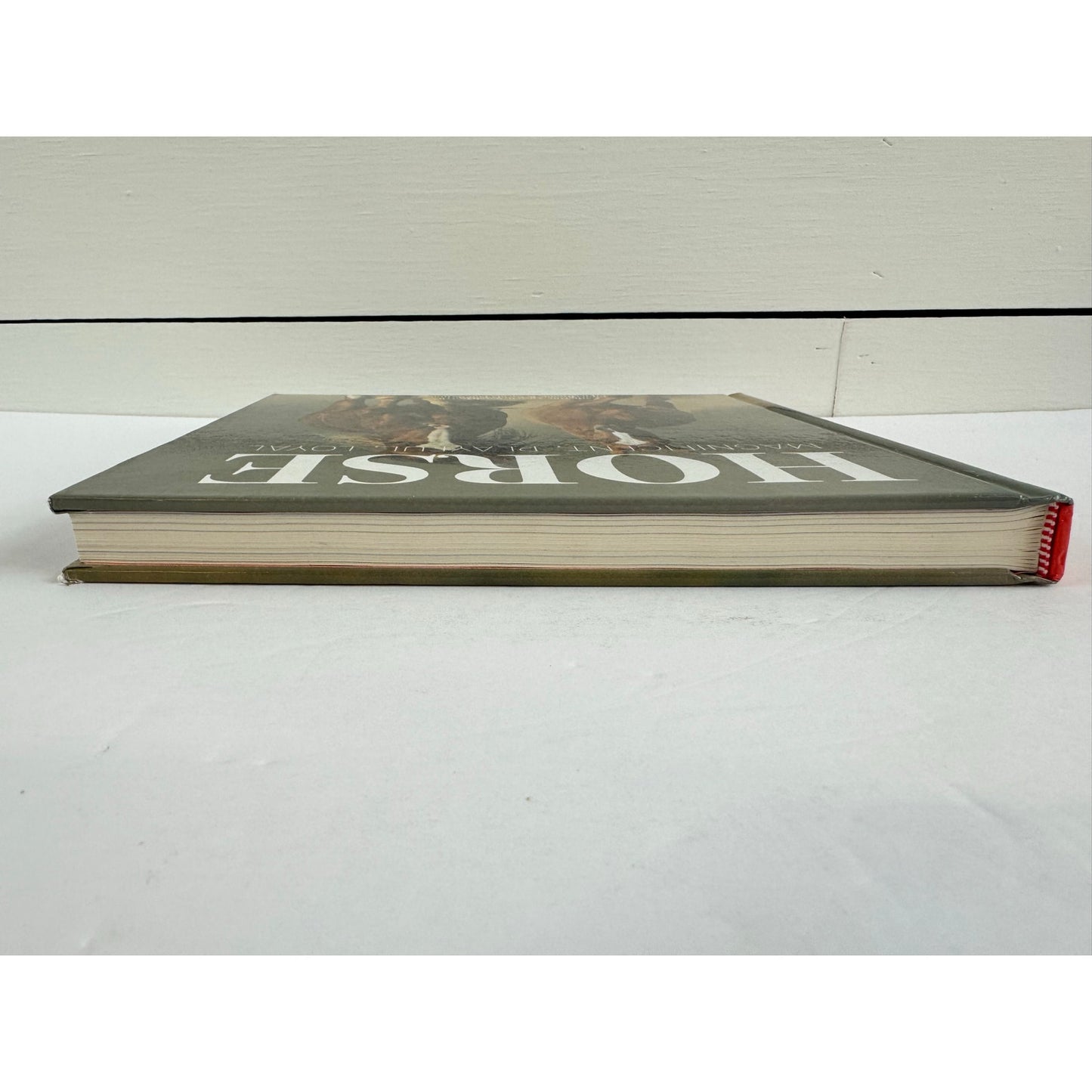 Horse: Magnificent, Playful, Loyal by Catherine Austen (Hardcover)