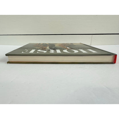 Horse: Magnificent, Playful, Loyal by Catherine Austen (Hardcover)