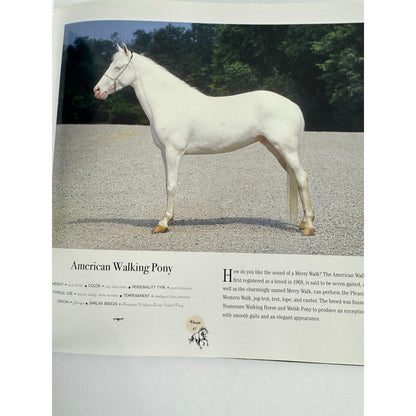 Horse: Magnificent, Playful, Loyal by Catherine Austen (Hardcover)