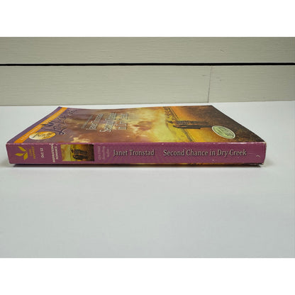 Second Chance in Dry Creek by Janet Tronstad (Paperback)