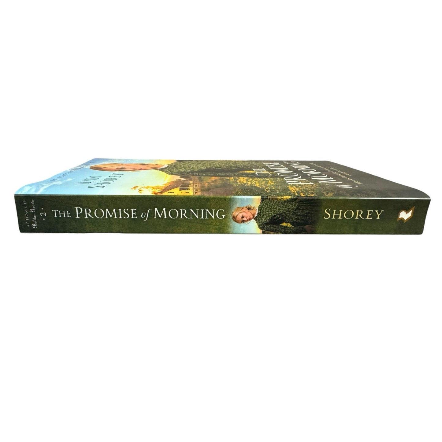 The Promise of Morning by Ann Shorey (Paperback)