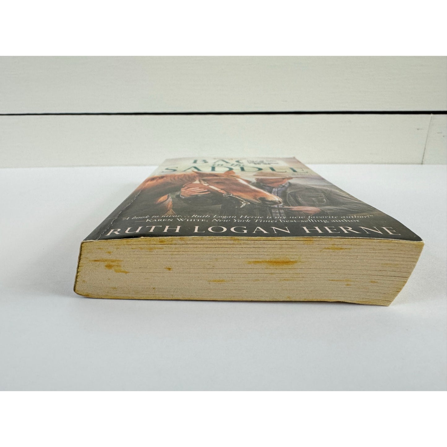 Back in the Saddle by Ruth Logan Herne (Paperback)