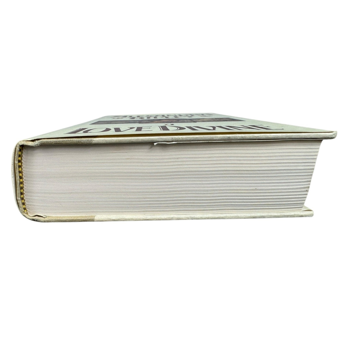 A Love Divine by Alexandra Ripley (Hardcover) - Image 8