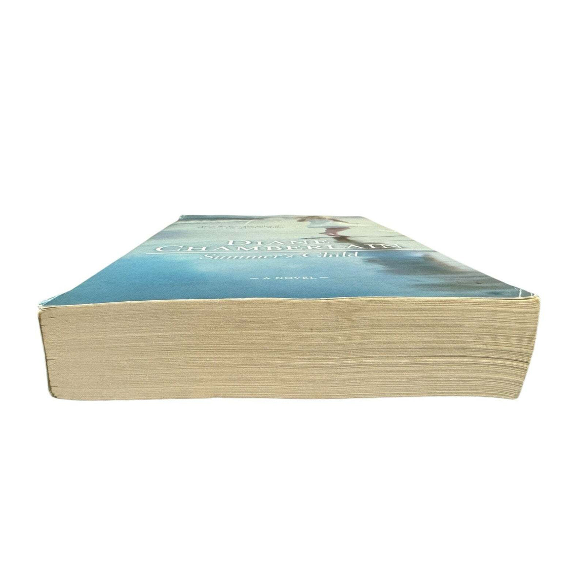 Summer's Child by Diane Chamberlain (Paperback) - Image 4