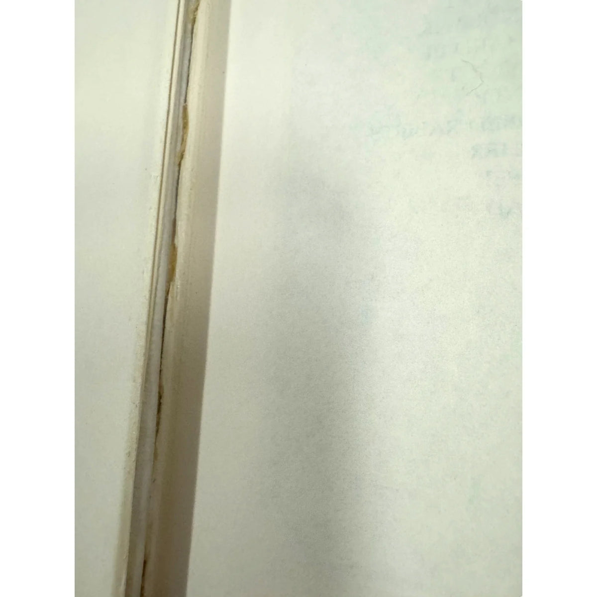 The Falcon at the Portal by Elizabeth Peters (Hardcover) - Image 8
